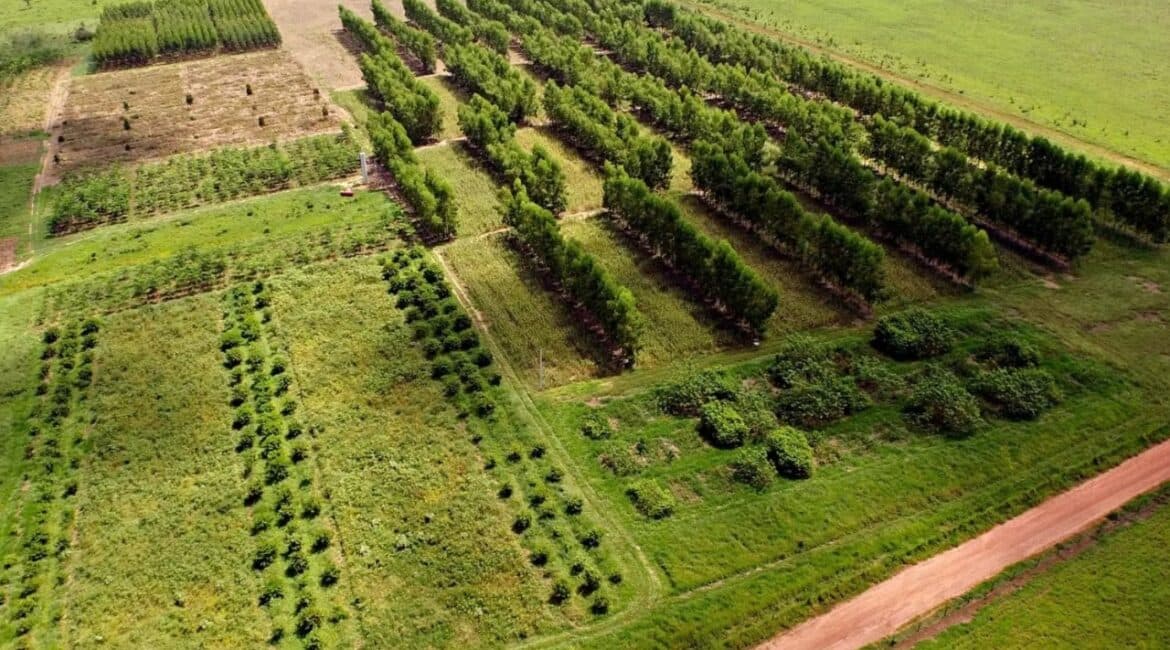 Agroambiental ganha força no Brasil